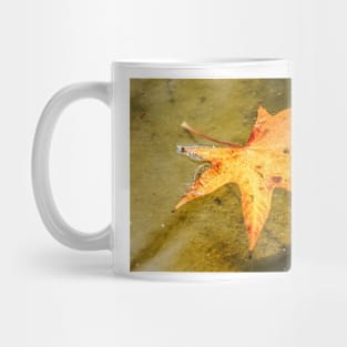 621 leave in motion Mug